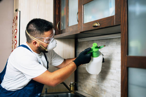 Best Commercial Pest Control Services  in Schoolcraft, MI